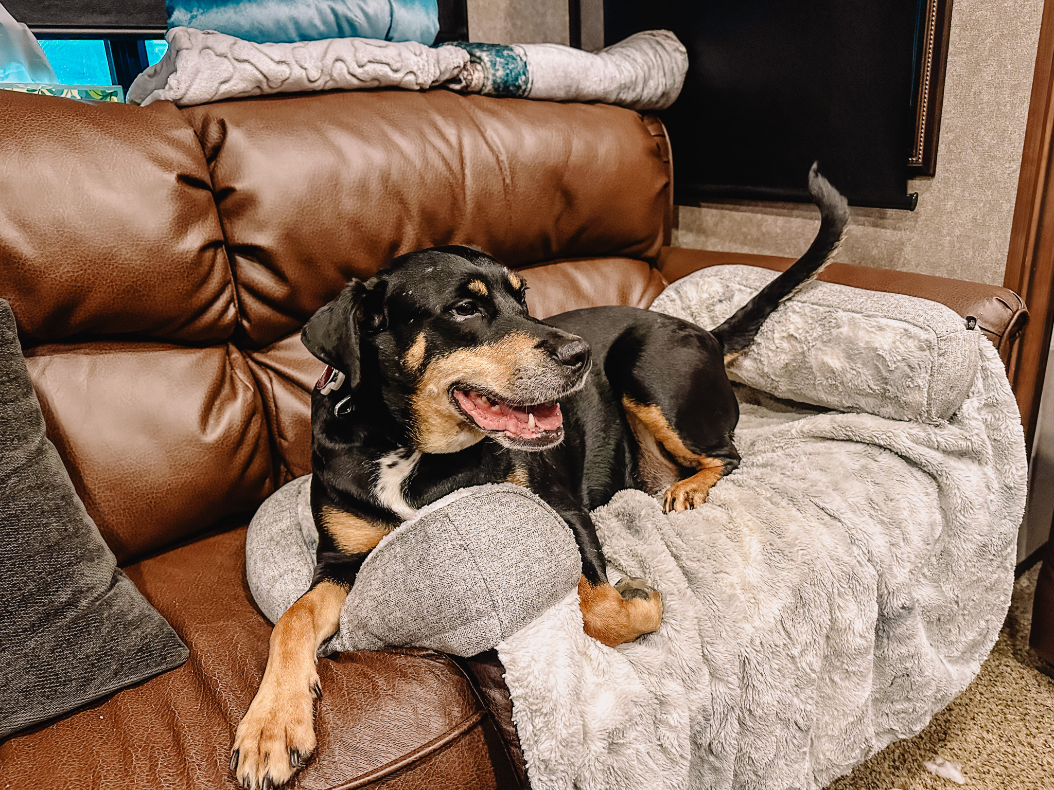 7 Ways We Made Our Stationary RV Feel Like Home